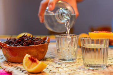 Hand serving mezcal into shot glass with fried chapulines