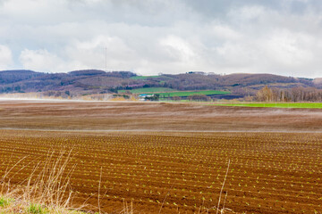水蒸気の上がる畑