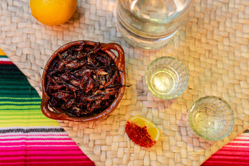 Mezcal drink with chapulines and chili lime