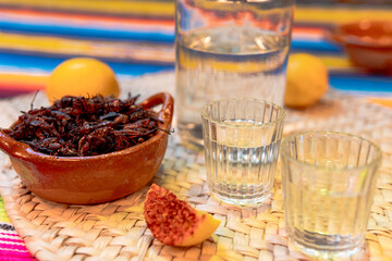 Mexican mezcal shots with chapulines and chili salt
