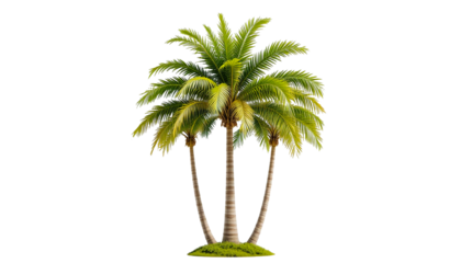 Lush green palm trees on a small mound of grass, isolated against a white background, perfect for tropical themes and vacation imagery