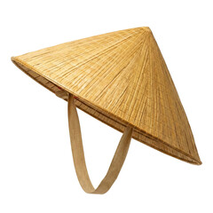 Traditional Asian conical straw hat