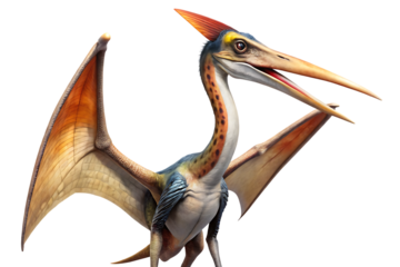 Quetzalcoatlus with orange and white wings standing isolated on a transparent background dinosaur pterosaur