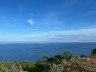 Obraz premium Wide blue ocean horizon with green coastal vegetation under a clear sky
