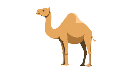 Vector illustration of a camel 