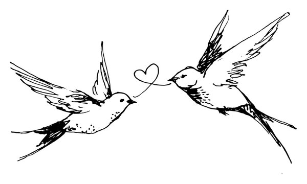 Sketch of two flying birds sharing a heart in the air