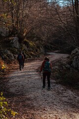 Obraz premium Group of hikers walking along a mountain trail in winter. Outdoor trekking in a natural forest environment. Shot in the Lepini Mountains, Lazio, Italy.