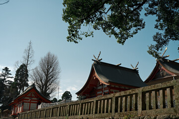 鹿児島神宮の神社の風景