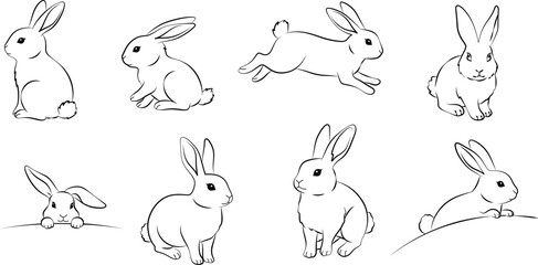 Cute bunny rabbit outline sketch on transparent background © The Little Foot