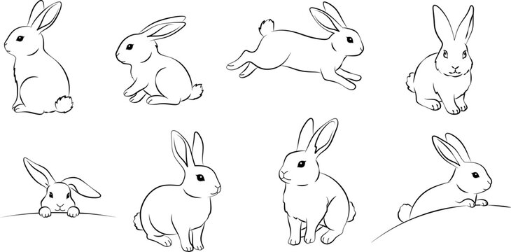 Cute bunny rabbit outline sketch on transparent background