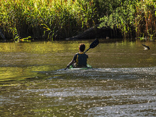 Paddling On Calm River Towards The Reeds