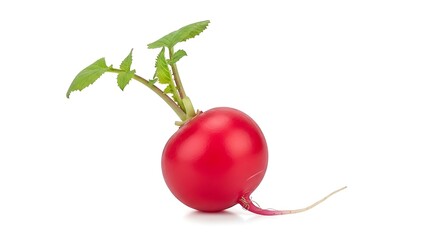 Crimson Radiance: A single, vibrant radish, its smooth, ruby-red skin contrasted by fresh green leaves, is a testament to the bounty of the earth