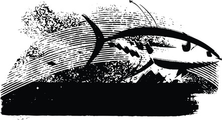 Flat vector illustration of a tuna fish in a clean, minimal style. Stylised marine animal with smooth shapes and simple details