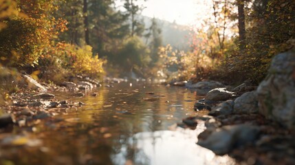 Calm river flows through trees and rocks in bright sunlight during fall season