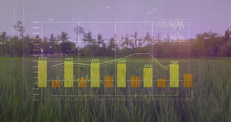 Displaying translucent data overlay showing orange bars and white line over paddy, palms at sunrise