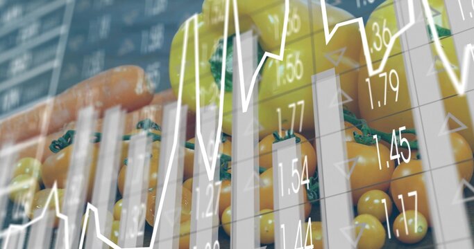 Displaying crate of orange cherry tomatoes on vine at market stall with charts prices blurred hand - Powered by Adobe