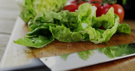 Showing fresh green lettuce shining on wooden cutting board, with chef's knife and cherry tomatoes © vectorfusionart