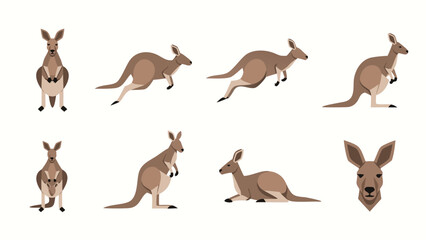 Collection of stylized kangaroos in various poses and actions on a white background