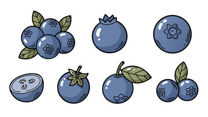Collection of stylized blueberries with leaves and a cut half, perfect for design