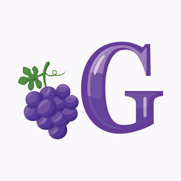 A creative flat illustration of the letter G combined with grape elements, suitable for alphabet learning and food themed typography designs.