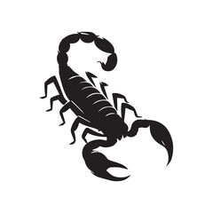 scorpion isolated on white background