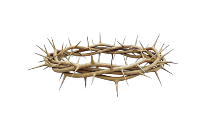 Crown of Thorns