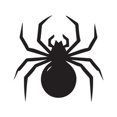 spider on a white background