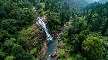 Majestic Tropical Rainforest Landscape with Waterfall