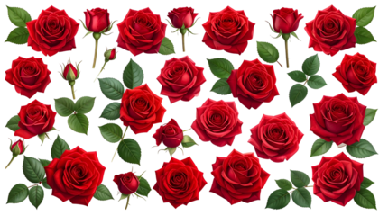 A vibrant collage presents numerous red blooms and buds with lush green foliage, set against a dark, featureless backdrop