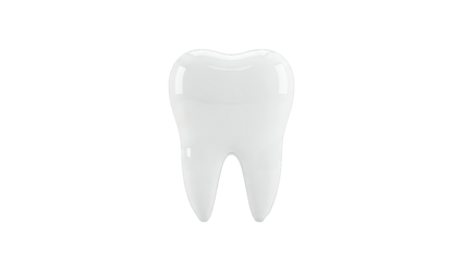 Isolated Realistic Tooth Illustration