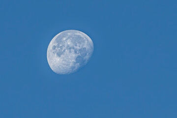 moon in the blue sky, closeup of photo with soft focus