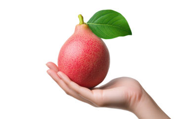 Hand holding red apple on transparent background