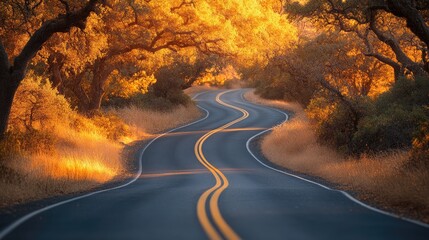 Winding Road with Autumn Sunset, and Trees.