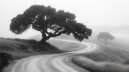 Winding Road with Foggy Hills, and Tree.