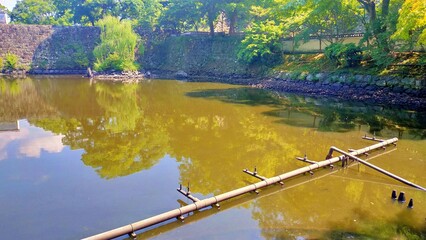 和歌山城の石垣とお堀に映る夏の空