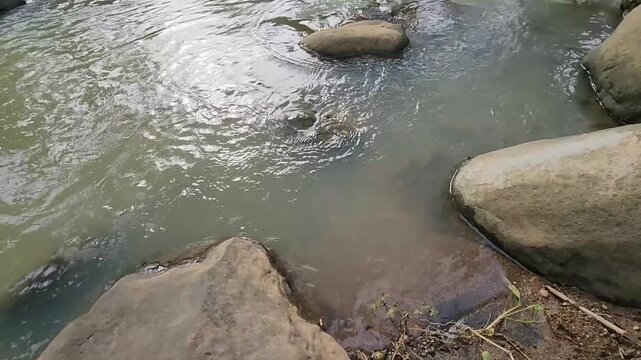 River eddy swirl near boulder with calm reflective water. Gentle whirlpool pattern on stream surface beside rocks. Quiet current circling stones creating natural water texture. Soft ripples 