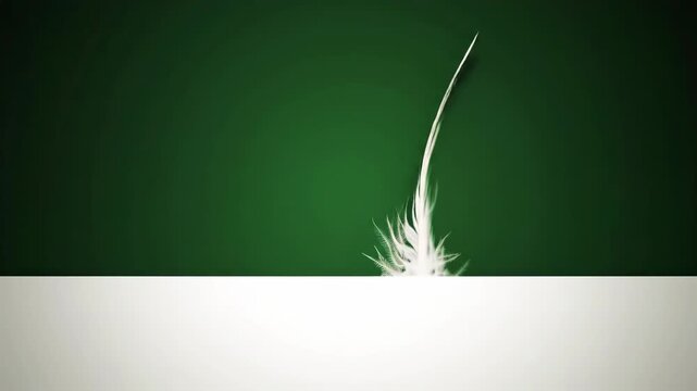 A white feather against a dark green background with shadow