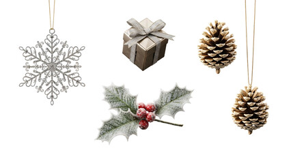 Christmas ornament collection featuring snowflake pinecone gift holly.