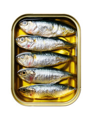 Silver sardines tightly packed in a golden rectangular tin from a top view