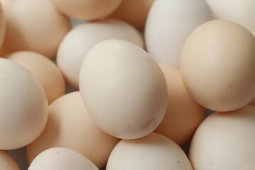 Close Up of Village Chicken Eggs