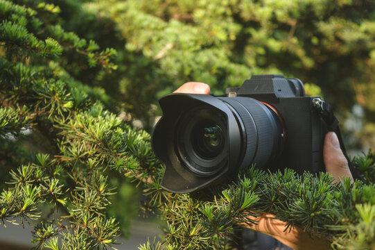 camara fotografica escondida entre los arbustos