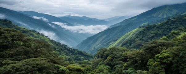 Lush green mountains enveloped in mist, showcasing a serene and dramatic landscape that highlights the beauty of nature.