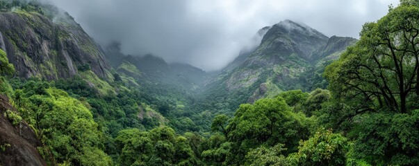 A lush green valley surrounded by mountains, shrouded in mist, creating a serene and tranquil atmosphere.
