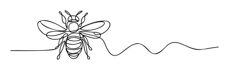 Obraz premium A minimalist continuous line drawing of a honeybee with a wavy flight path, ideal for modern nature inspired logos, environmental graphic elements, and simple spring or summer projects.