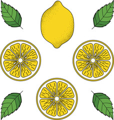 Fresh Lemon Illustration Set with Whole Fruit, Slices, and Mint LeavesFresh Lemon Illustration Set with Whole Fruit, Slices, and Mint Leaves