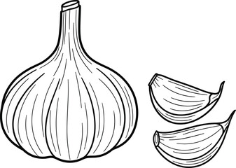Garlic Bulb and Cloves Hand Drawn Line Art VectorGarlic Bulb and Cloves Hand Drawn Line Art Vector