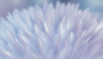 Obraz premium Soft abstract feather texture with dreamy pastel light atmosphere