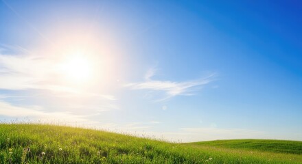 A vibrant green meadow with a bright blue sky and a sun shining down.