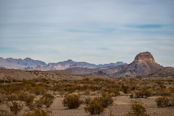 Chihuahuan Desert View Just North Of The Rio Grande In Big Bend