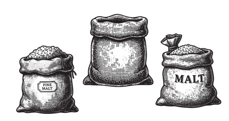 Malt grain sack vintage engraving isolated on white background